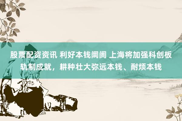 股票配资资讯 利好本钱阛阓 上海将加强科创板轨制成就，耕种壮大弥远本钱、耐烦本钱