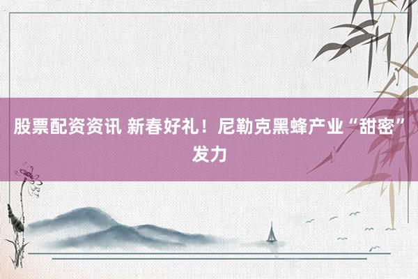股票配资资讯 新春好礼！尼勒克黑蜂产业“甜密”发力