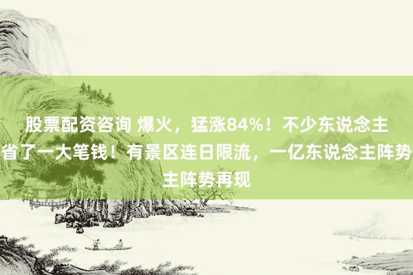 股票配资咨询 爆火，猛涨84%！不少东说念主讴颂省了一大笔钱！有景区连日限流，一亿东说念主阵势再现