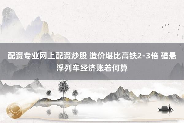 配资专业网上配资炒股 造价堪比高铁2-3倍 磁悬浮列车经济账若何算